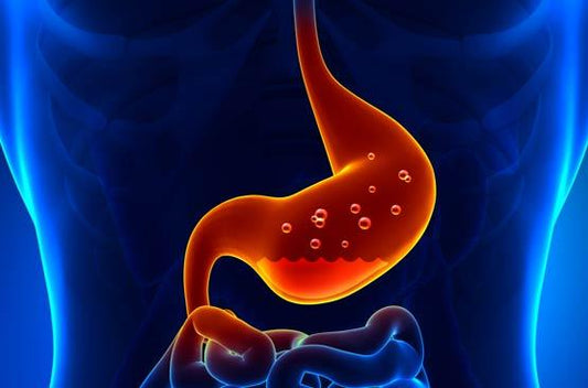 Understanding Gastroesophageal Reflux Disease (GORD)